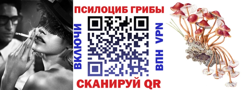 кракен tor  Усть-Кут  Псилоцибиновые грибы прущие грибы 